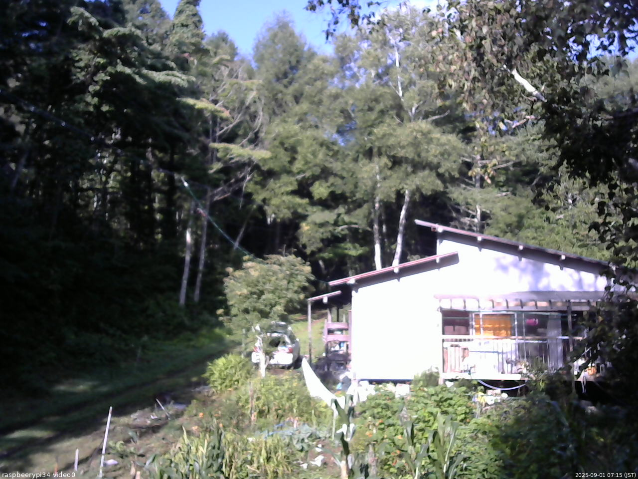 長野県菅平高原 ゆたか山荘 西側(坂上) 2025/09/01 07:15