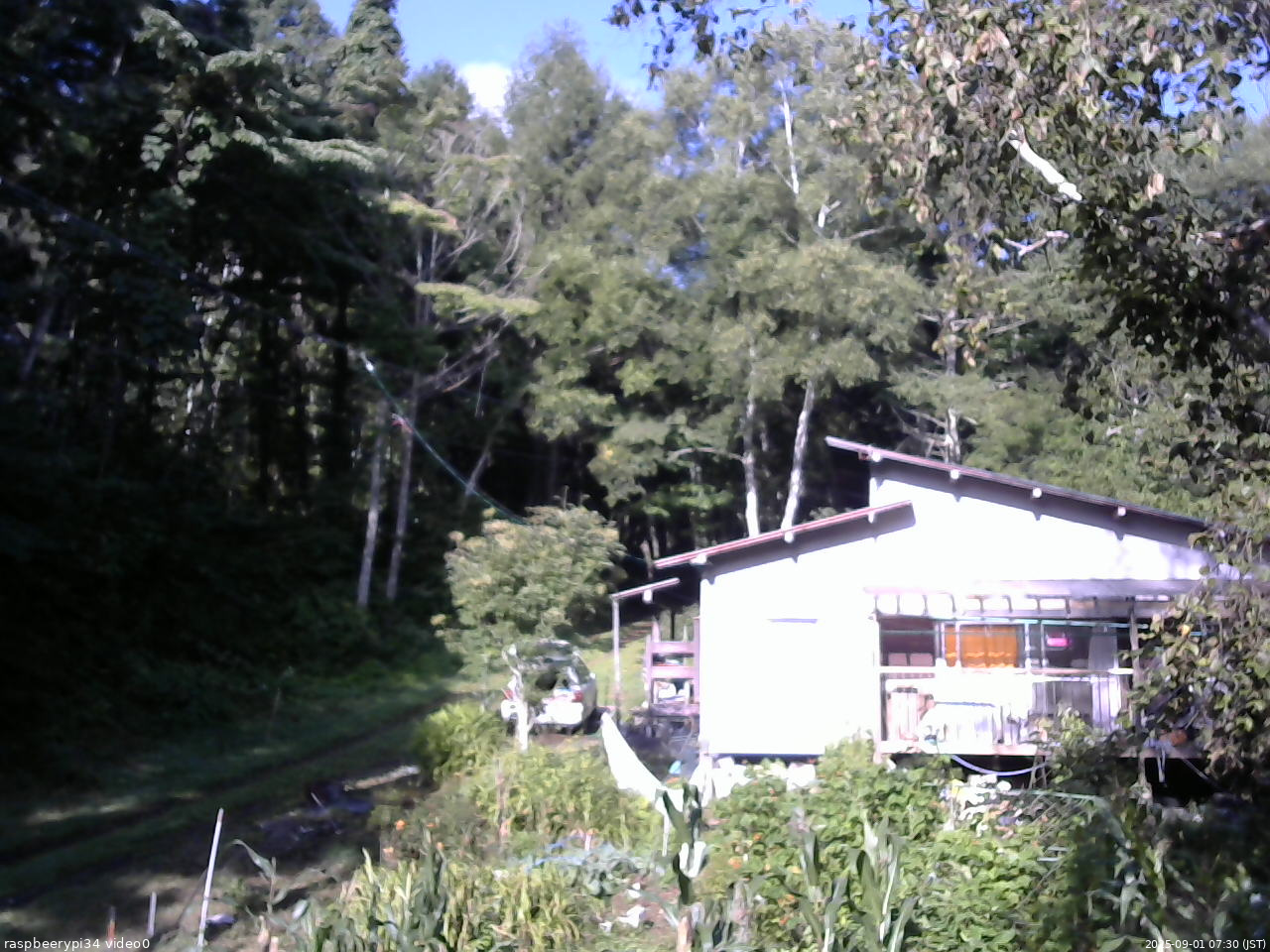 長野県菅平高原 ゆたか山荘 西側(坂上) 2025/09/01 07:30
