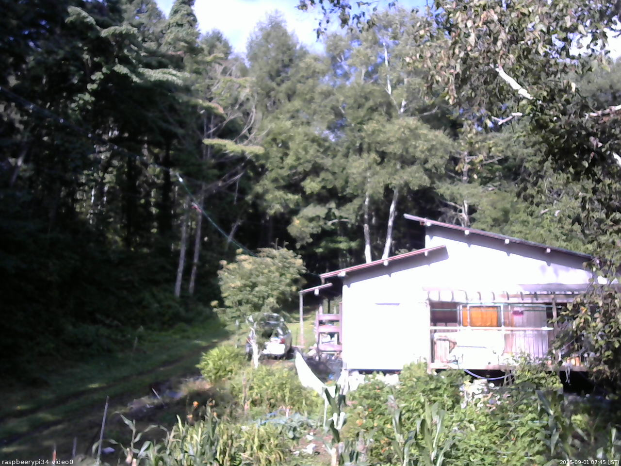 長野県菅平高原 ゆたか山荘 西側(坂上) 2025/09/01 07:45