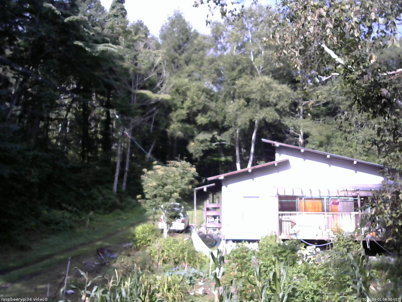 長野県菅平高原 ゆたか山荘 西側(坂上) 2025/09/01 08:00