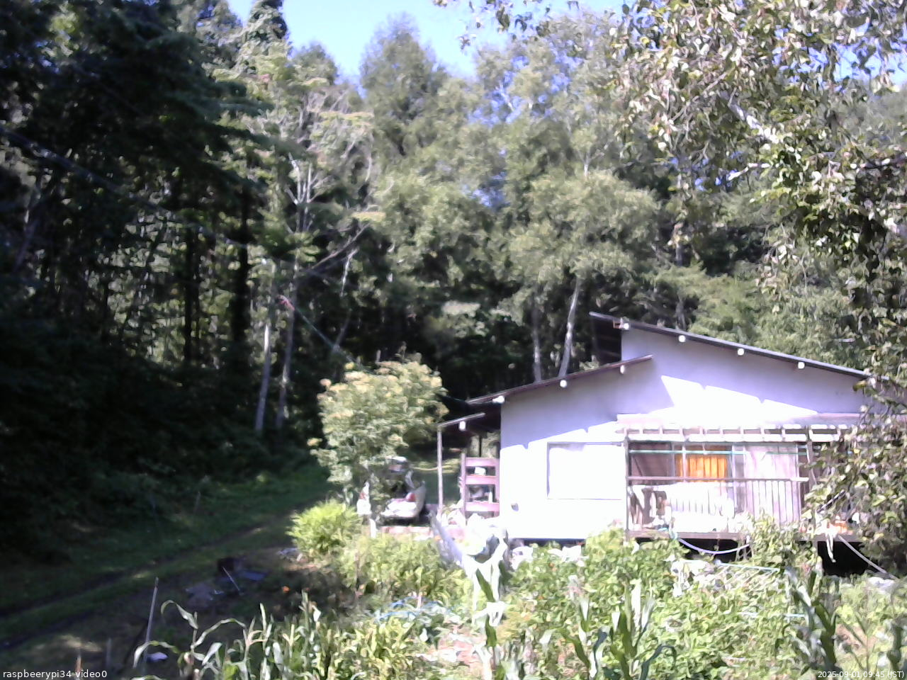 長野県菅平高原 ゆたか山荘 西側(坂上) 2025/09/01 09:45