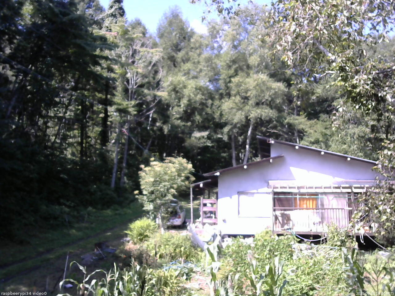 長野県菅平高原 ゆたか山荘 西側(坂上) 2025/09/01 10:00