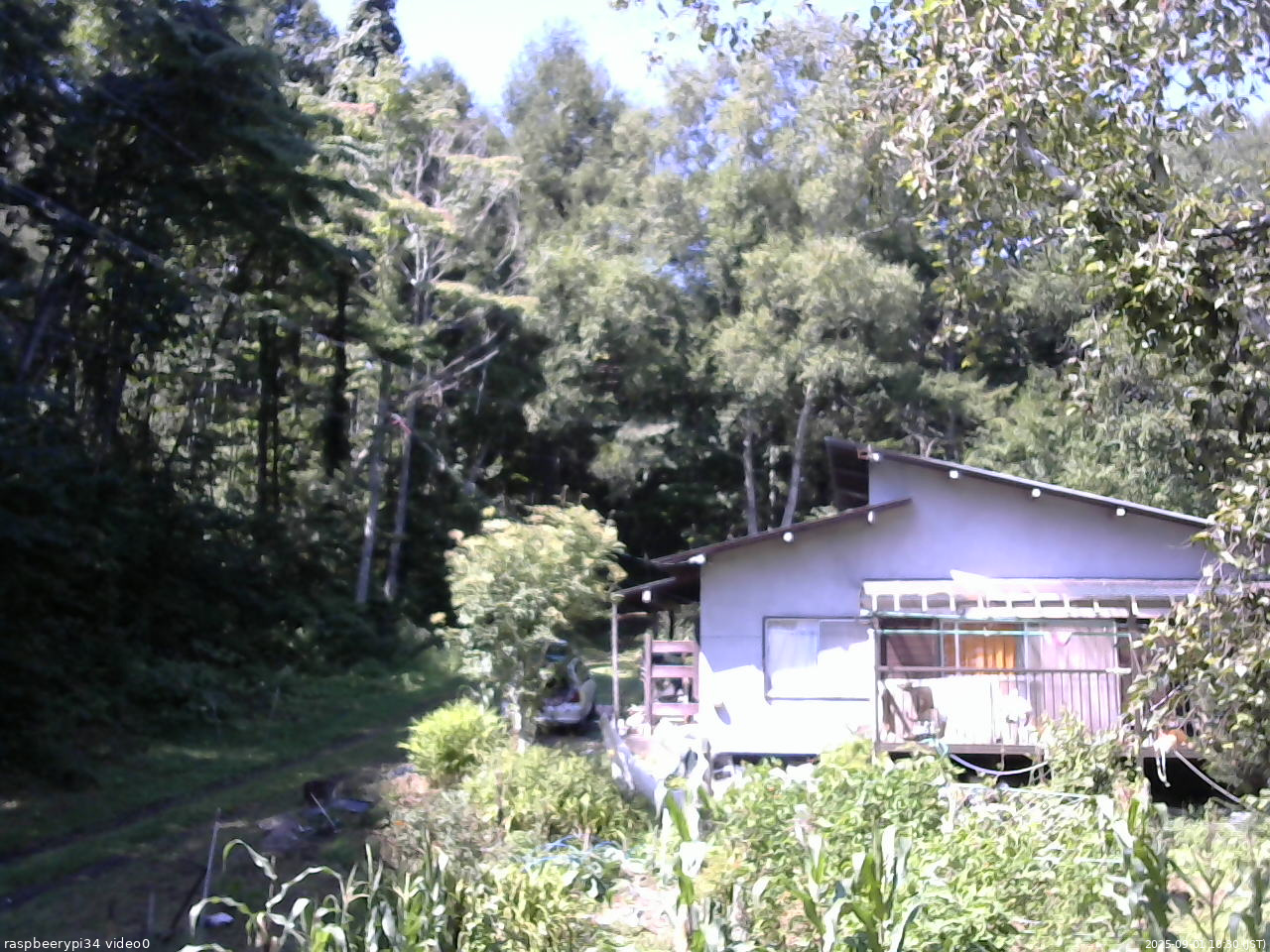 長野県菅平高原 ゆたか山荘 西側(坂上) 2025/09/01 10:30
