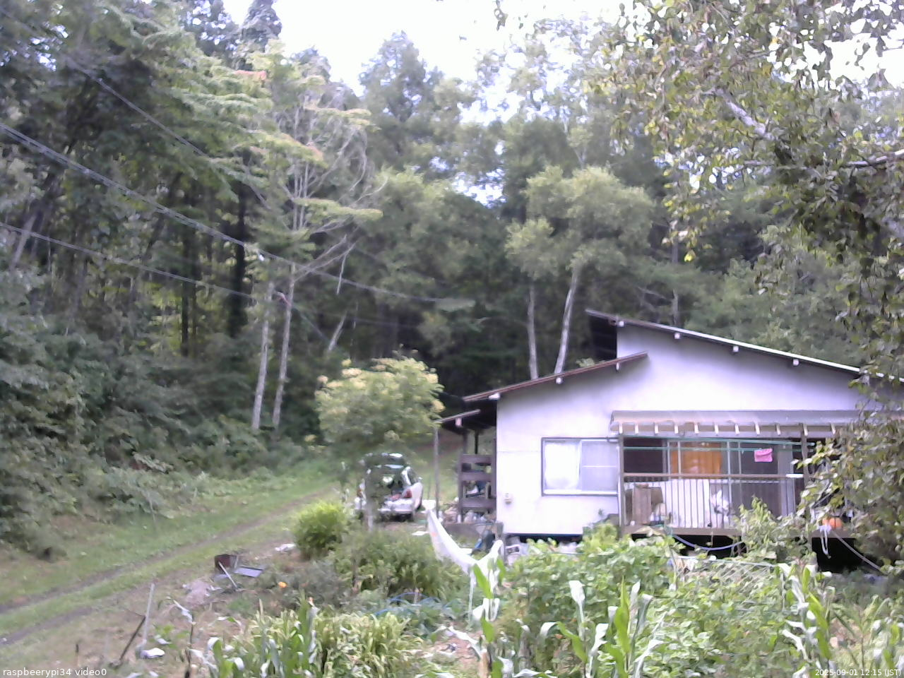 長野県菅平高原 ゆたか山荘 西側(坂上) 2025/09/01 12:15