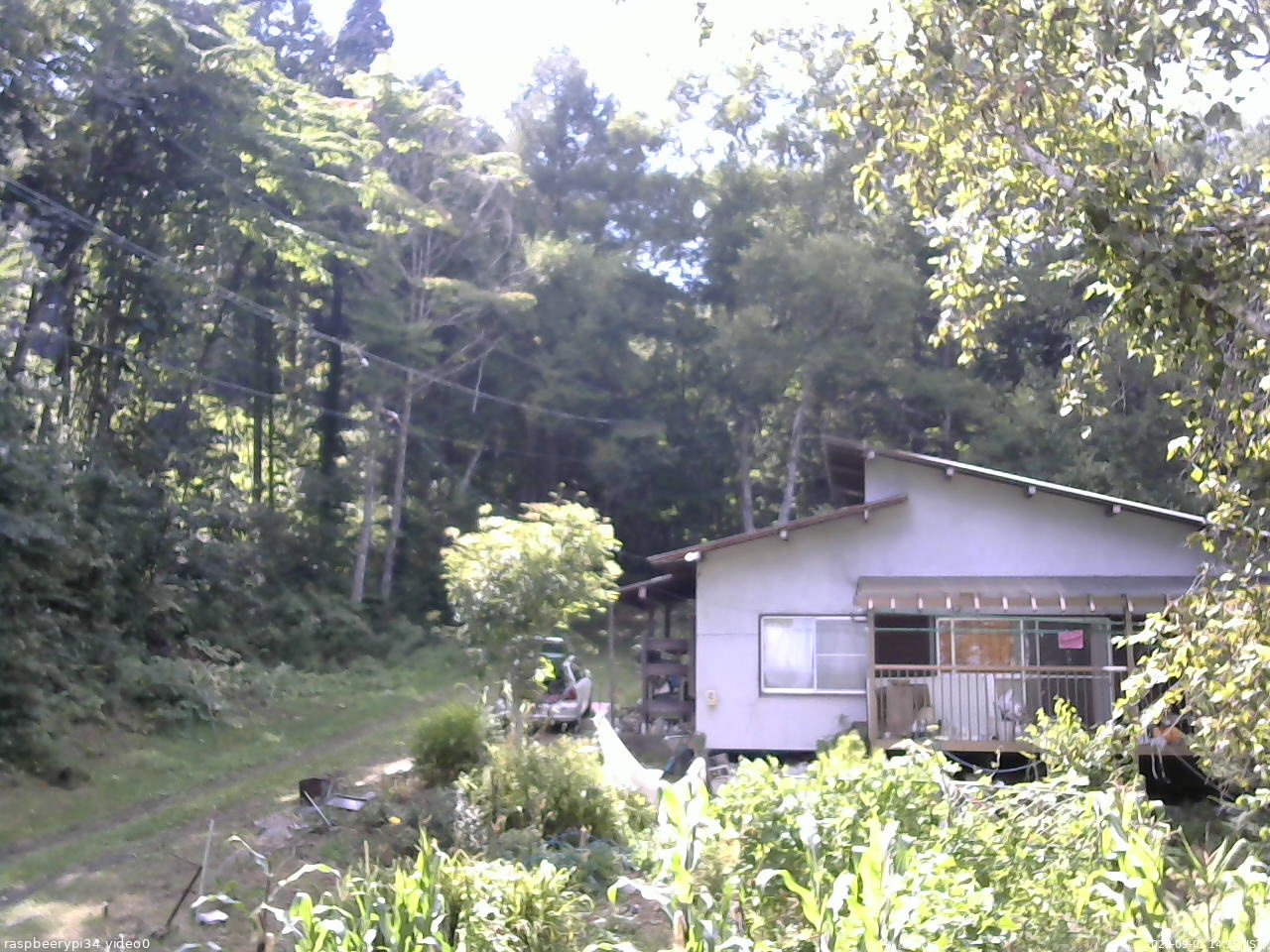 長野県菅平高原 ゆたか山荘 西側(坂上) 2025/09/01 14:15