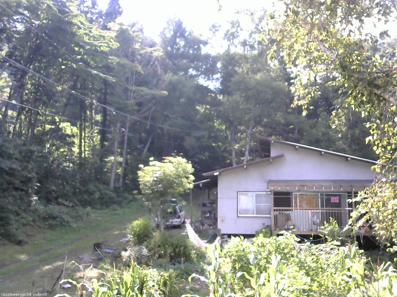 長野県菅平高原 ゆたか山荘 西側(坂上) 2025/09/01 14:45