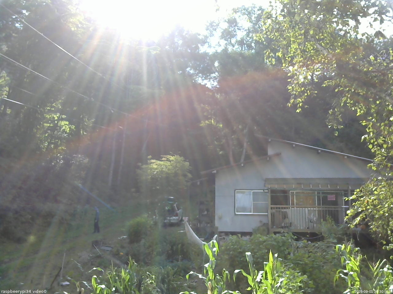 長野県菅平高原 ゆたか山荘 西側(坂上) 2025/09/01 15:30