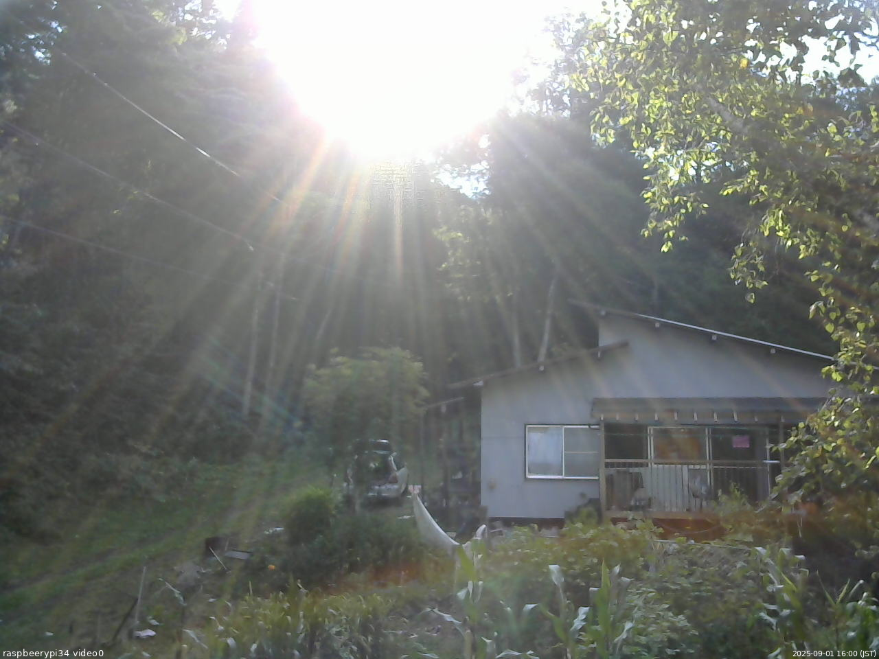 長野県菅平高原 ゆたか山荘 西側(坂上) 2025/09/01 16:00