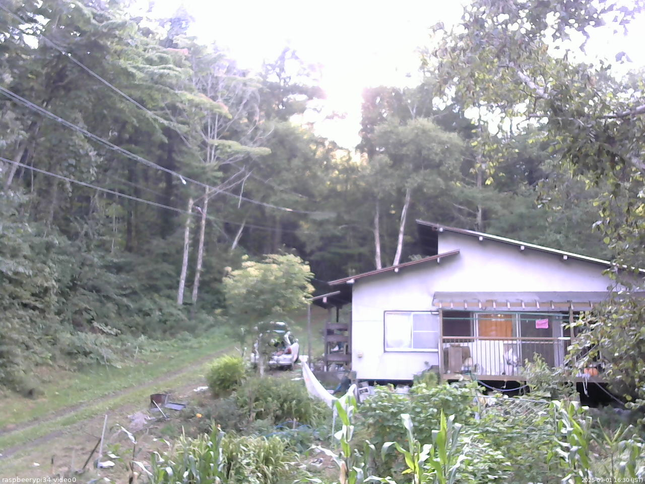 長野県菅平高原 ゆたか山荘 西側(坂上) 2025/09/01 16:30