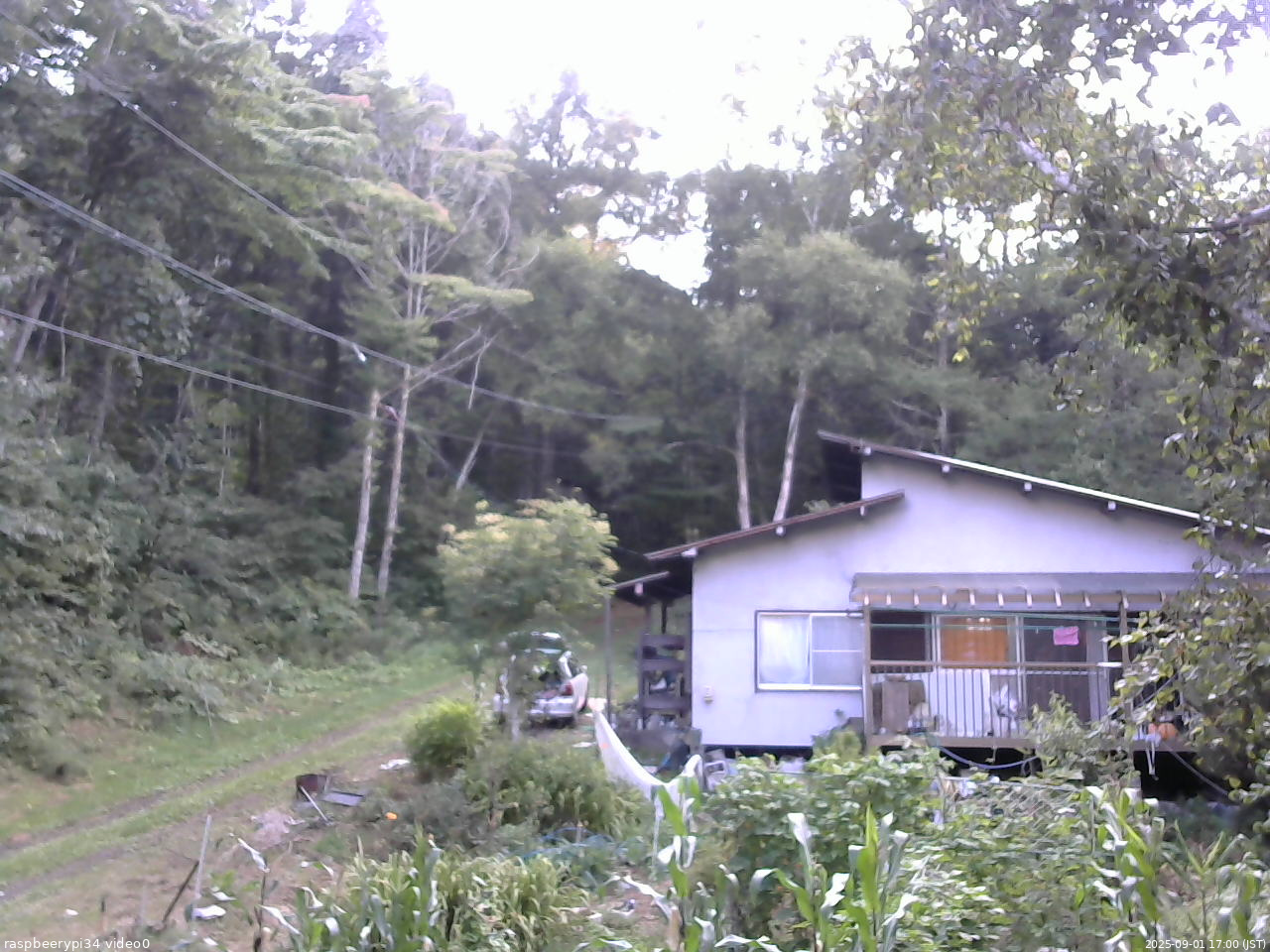 長野県菅平高原 ゆたか山荘 西側(坂上) 2025/09/01 17:00
