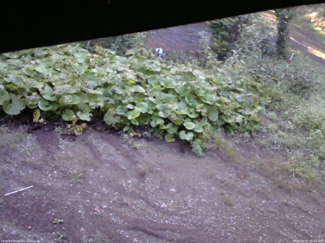 長野県菅平高原 ゆたか山荘 駐車場 2025/09/01 06:00