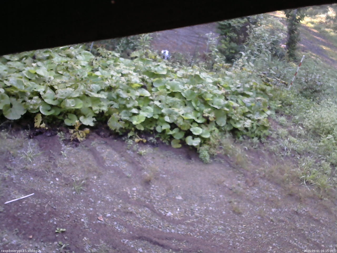 長野県菅平高原 ゆたか山荘 駐車場 2025/09/01 06:15