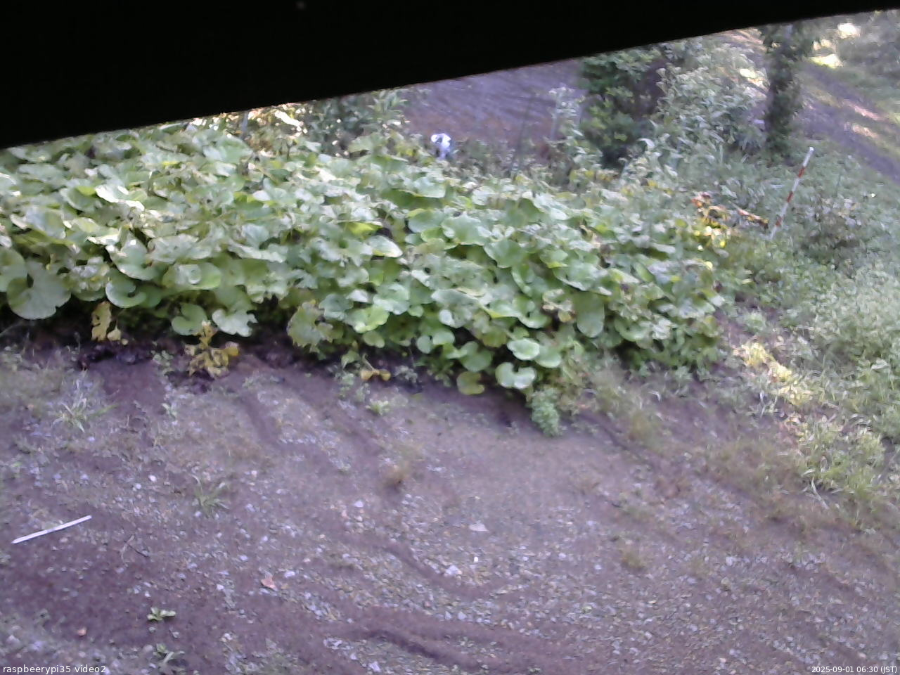長野県菅平高原 ゆたか山荘 駐車場 2025/09/01 06:30