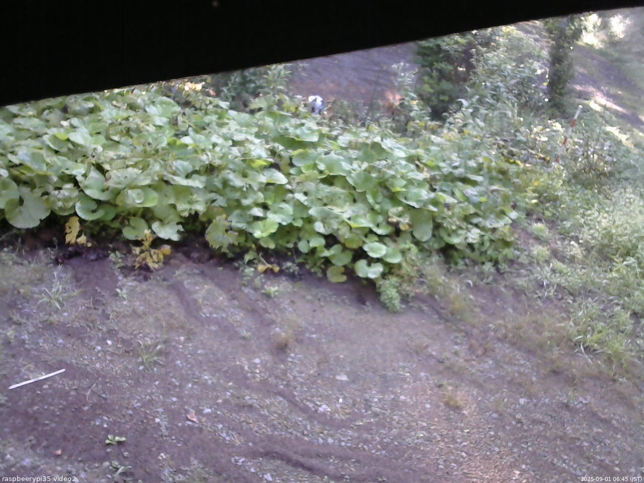 長野県菅平高原 ゆたか山荘 駐車場 2025/09/01 06:45