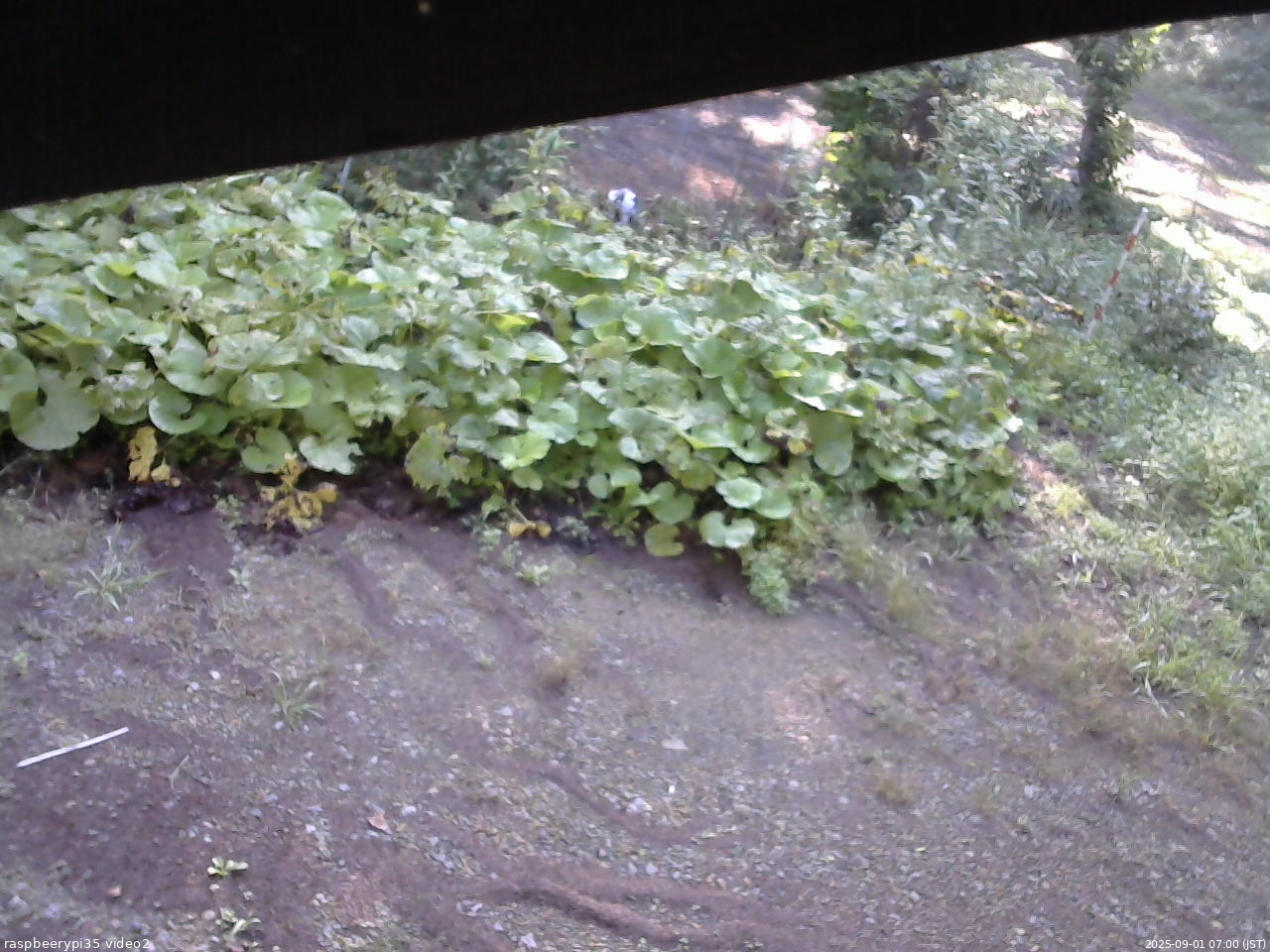 長野県菅平高原 ゆたか山荘 駐車場 2025/09/01 07:00