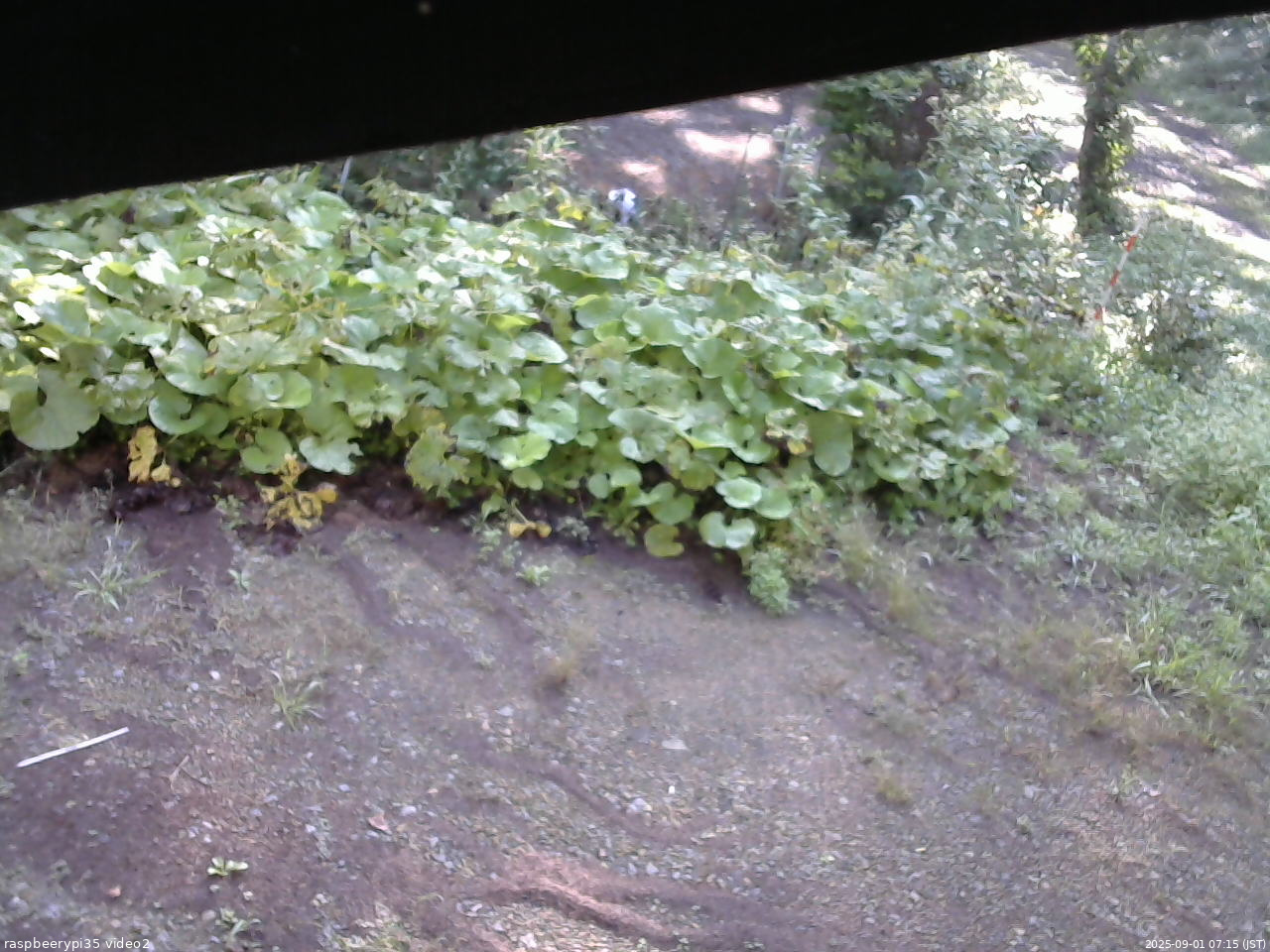 長野県菅平高原 ゆたか山荘 駐車場 2025/09/01 07:15
