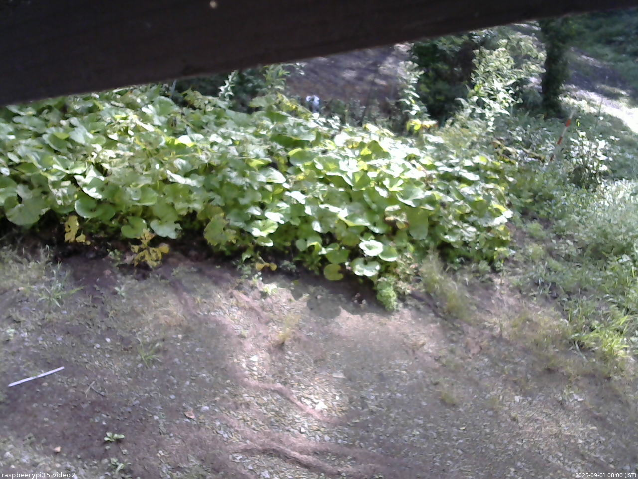 長野県菅平高原 ゆたか山荘 駐車場 2025/09/01 08:00