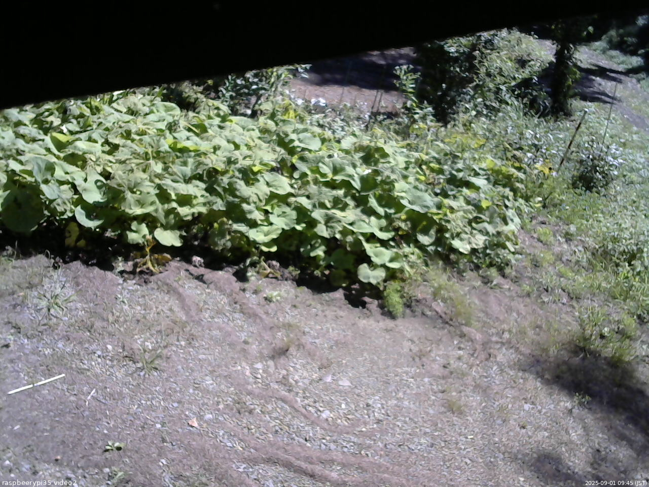 長野県菅平高原 ゆたか山荘 駐車場 2025/09/01 09:45