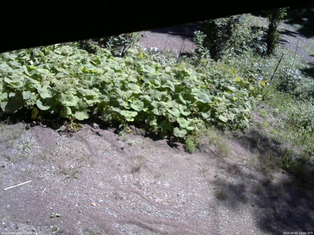 長野県菅平高原 ゆたか山荘 駐車場 2025/09/01 10:00
