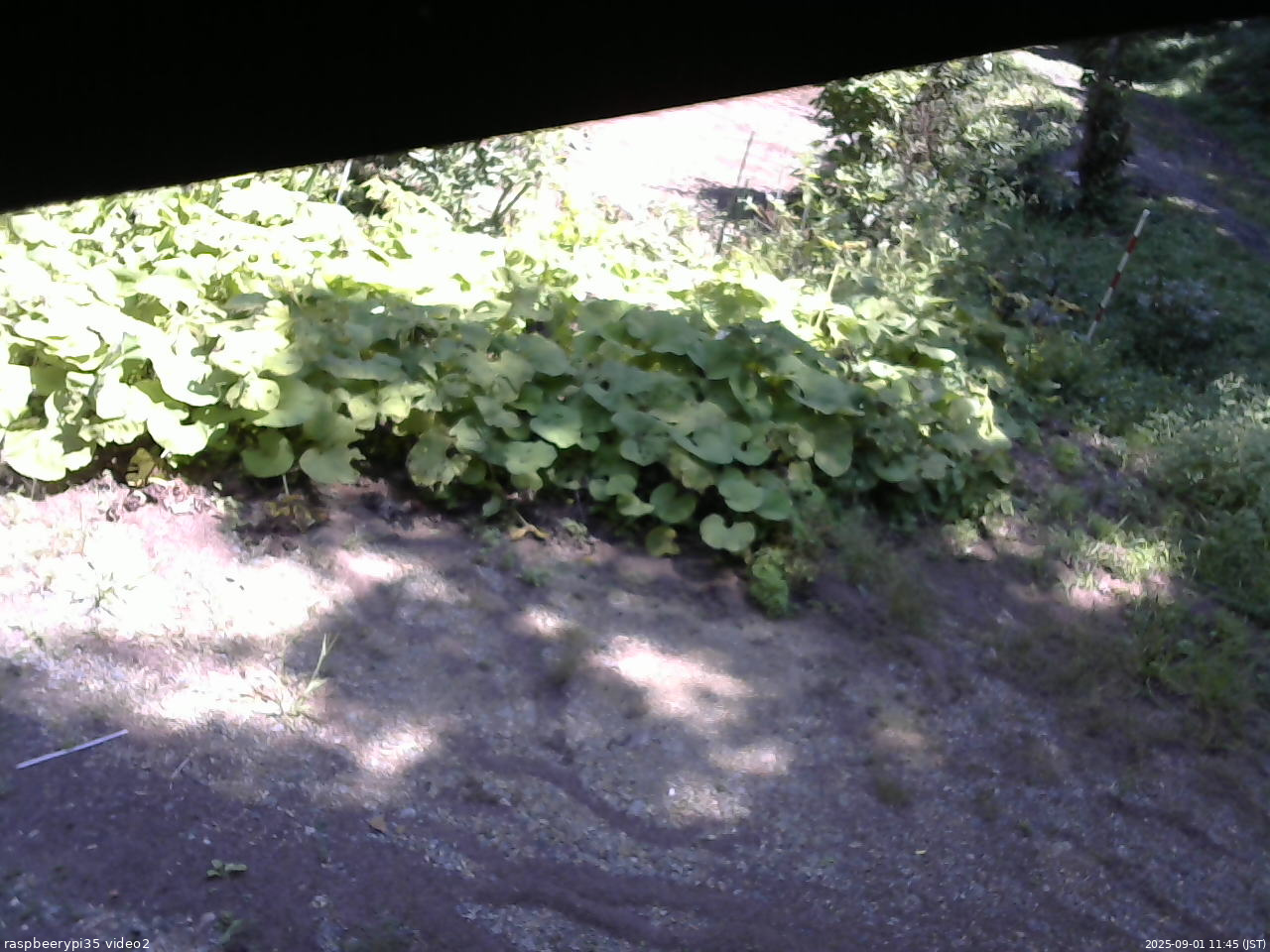 長野県菅平高原 ゆたか山荘 駐車場 2025/09/01 11:45