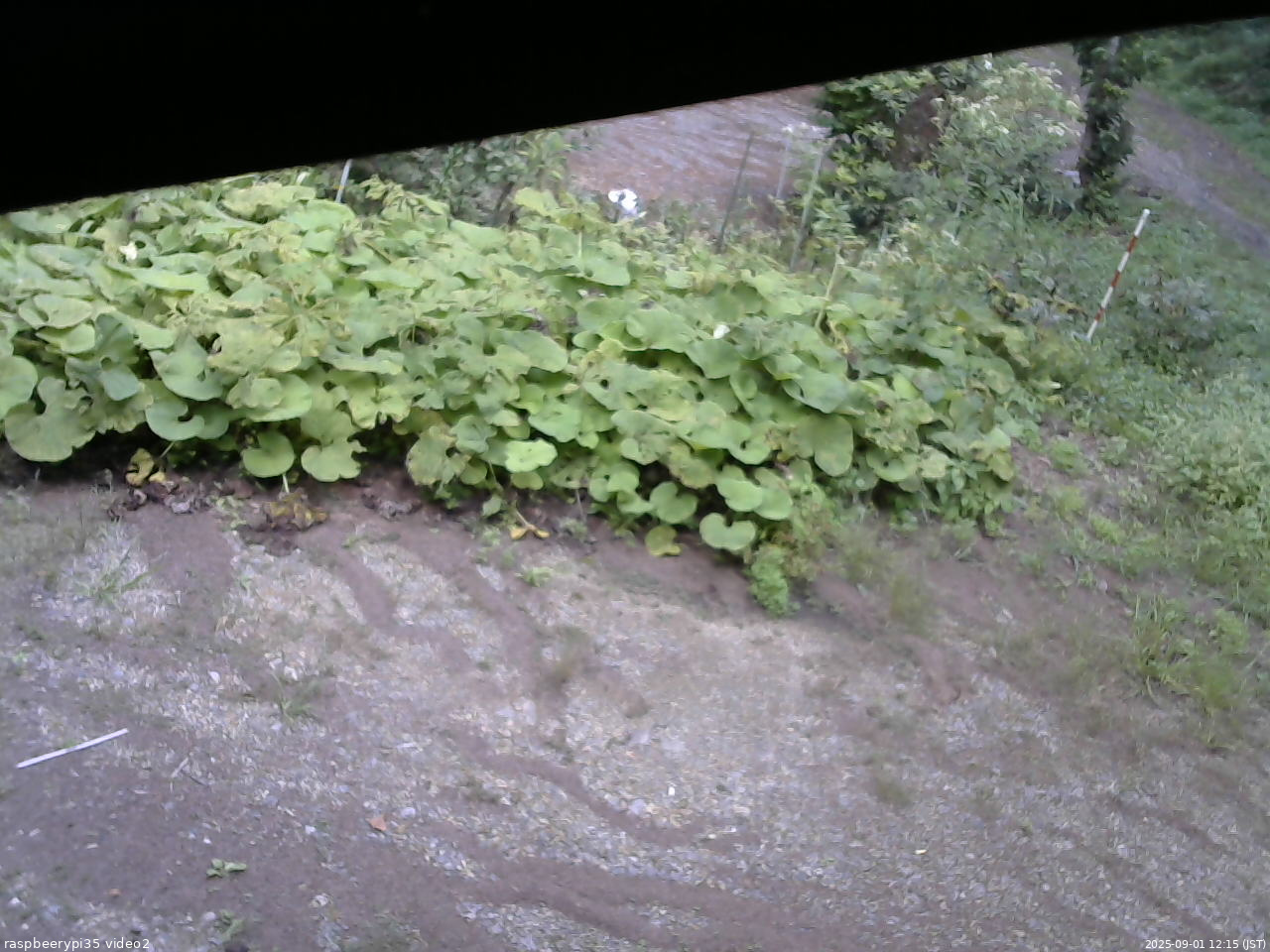 長野県菅平高原 ゆたか山荘 駐車場 2025/09/01 12:15