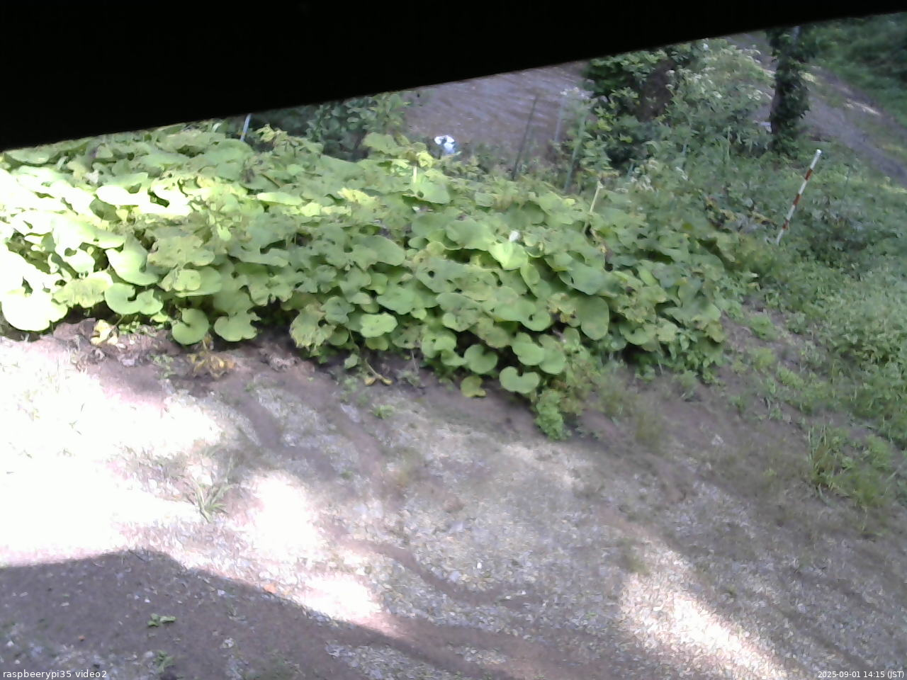 長野県菅平高原 ゆたか山荘 駐車場 2025/09/01 14:15