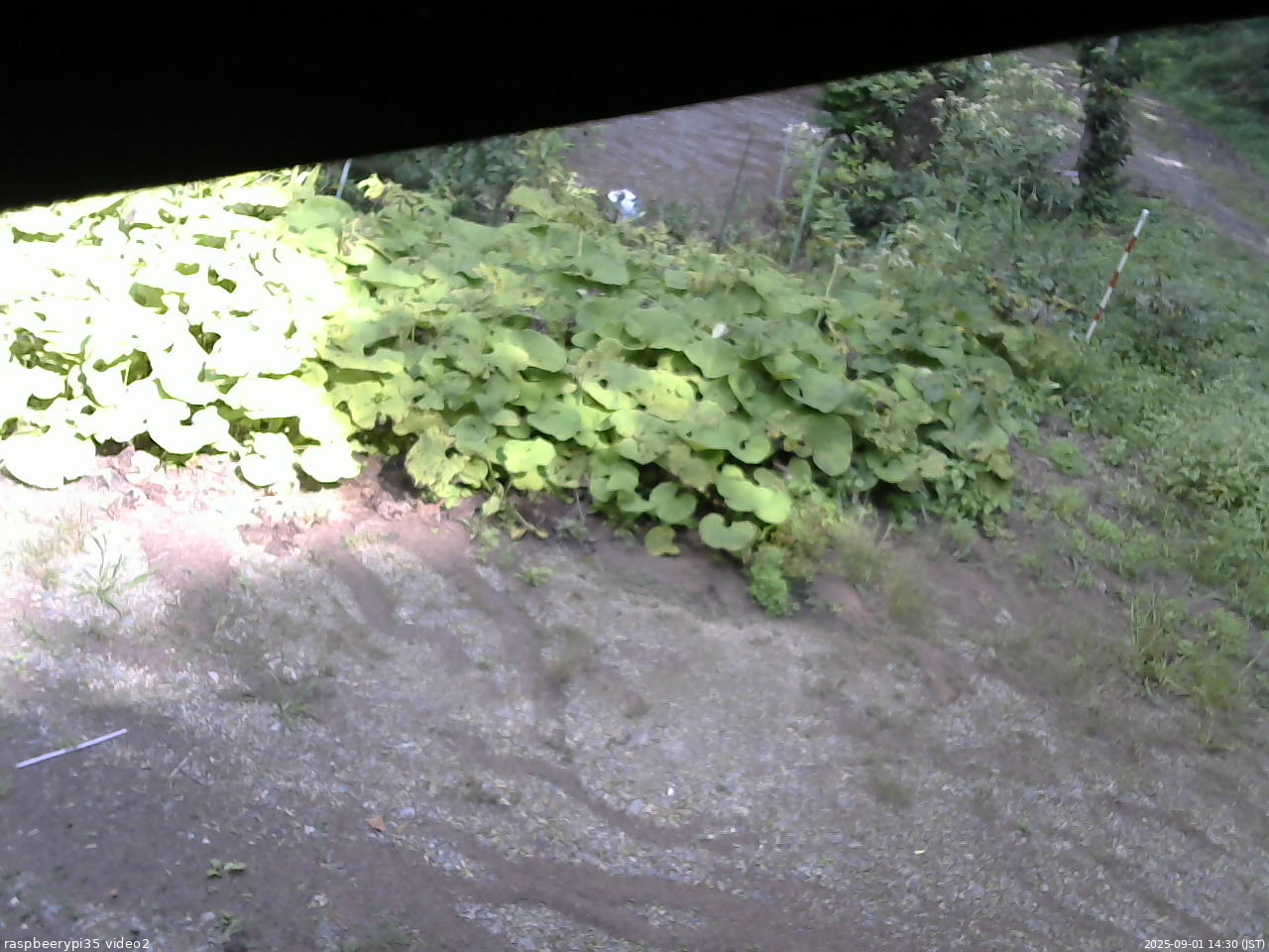 長野県菅平高原 ゆたか山荘 駐車場 2025/09/01 14:30