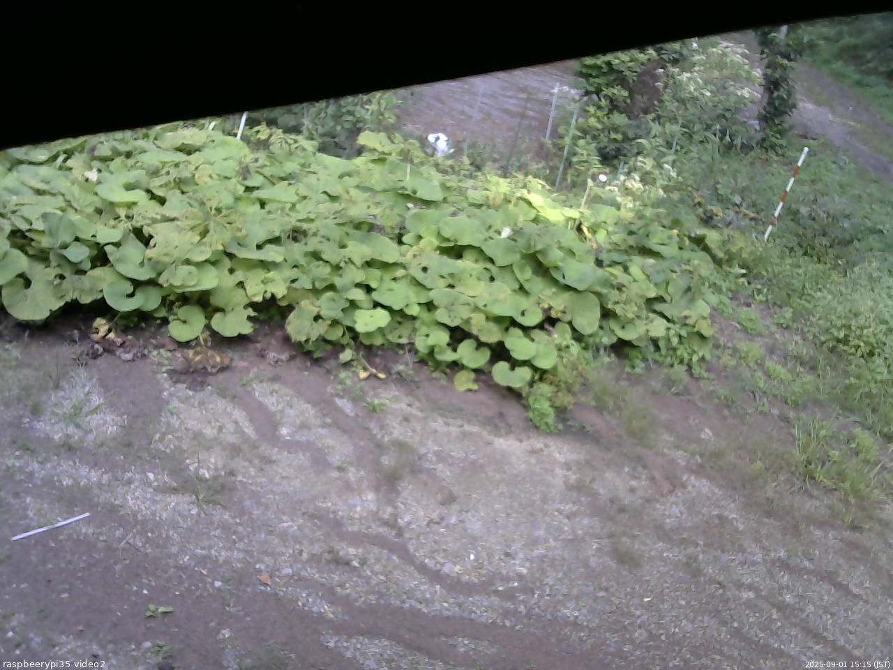 長野県菅平高原 ゆたか山荘 駐車場 2025/09/01 15:15