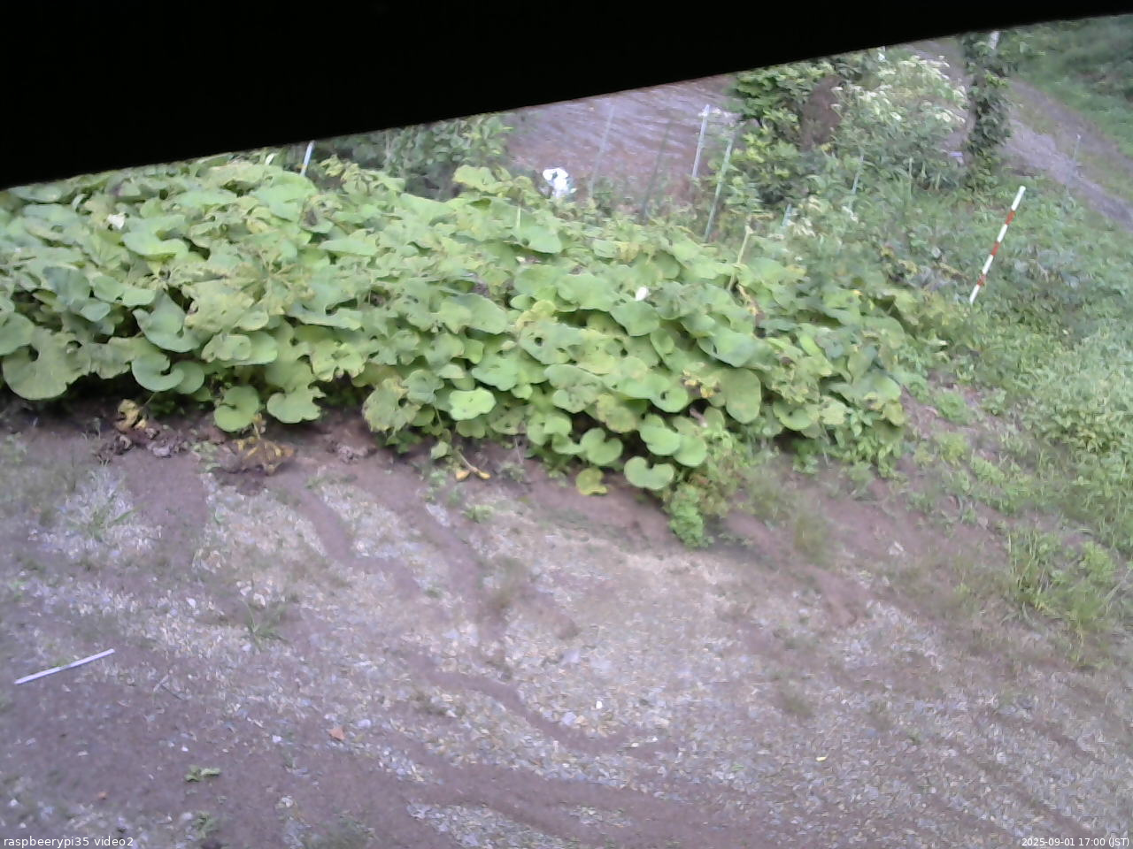 長野県菅平高原 ゆたか山荘 駐車場 2025/09/01 17:00