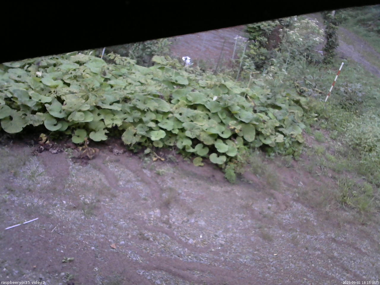 長野県菅平高原 ゆたか山荘 駐車場 2025/09/01 18:15