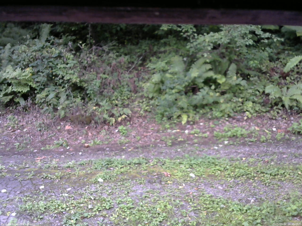 長野県菅平高原 ゆたか山荘 南側 2025/09/02 16:45