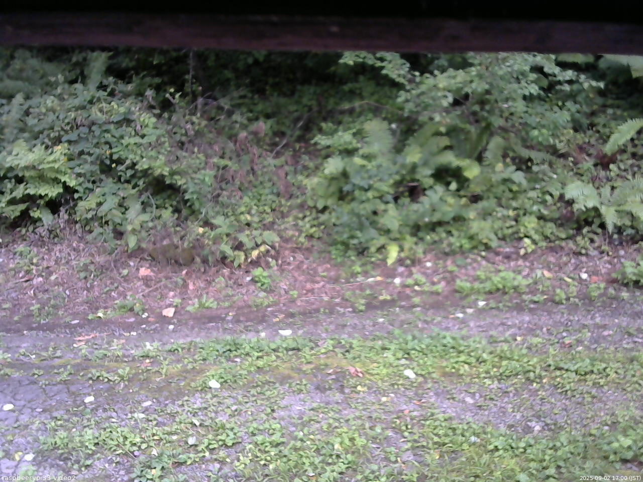長野県菅平高原 ゆたか山荘 南側 2025/09/02 17:00