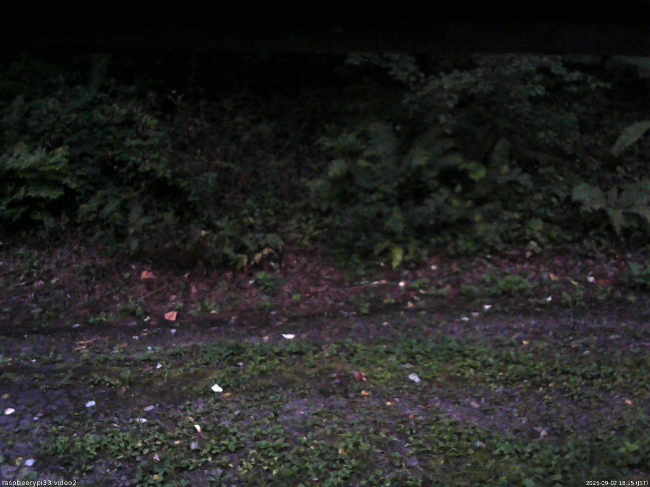 長野県菅平高原 ゆたか山荘 南側 2025/09/02 18:15