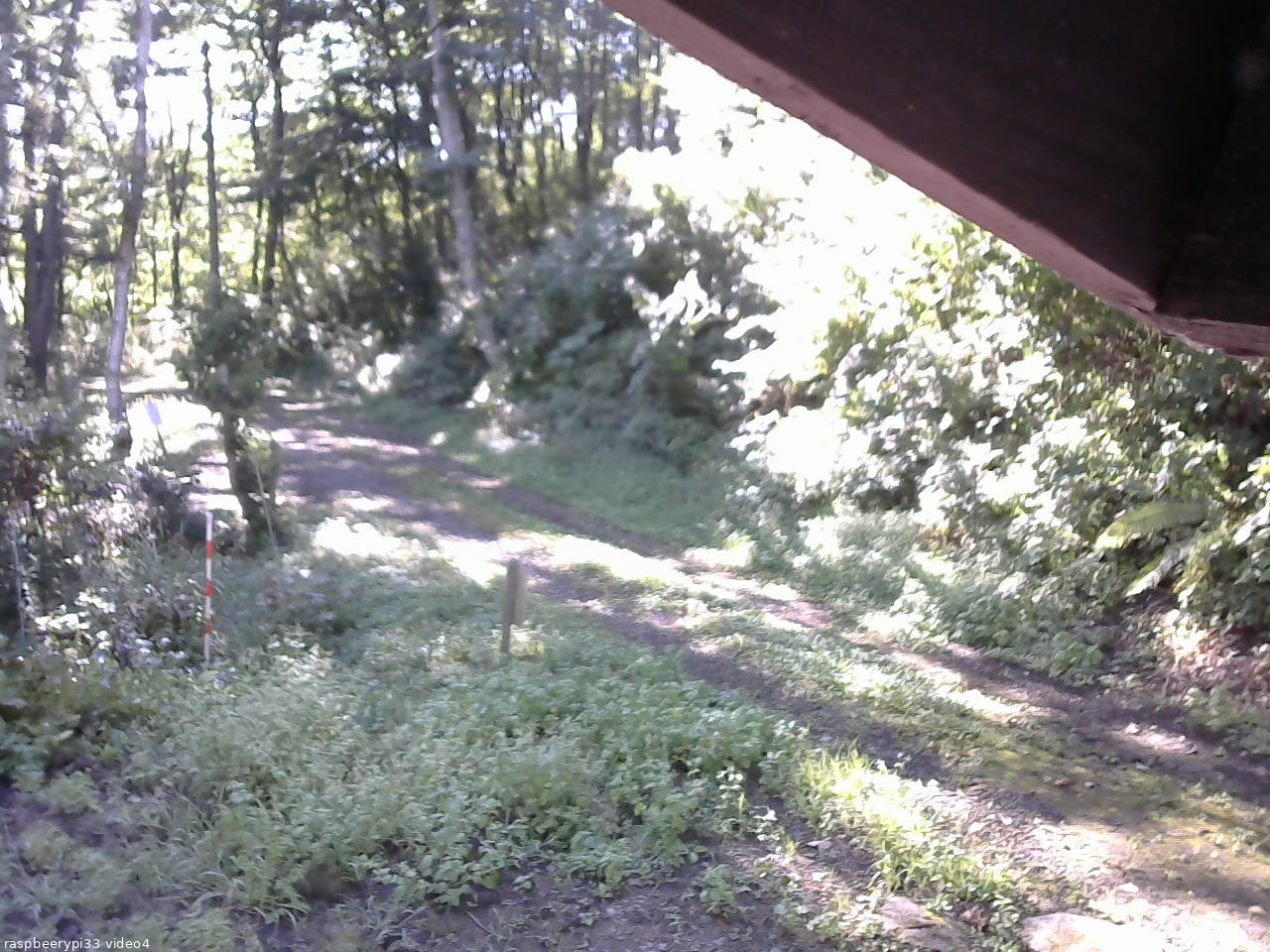 長野県菅平高原 ゆたか山荘 東側(坂下) 2025/09/02 07:30
