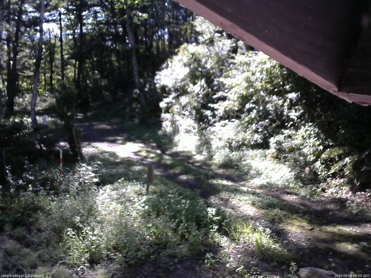 長野県菅平高原 ゆたか山荘 東側(坂下) 2025/09/02 08:00
