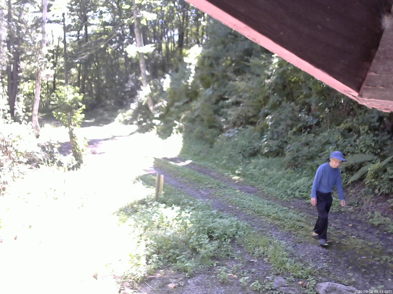 長野県菅平高原 ゆたか山荘 東側(坂下) 2025/09/02 09:45