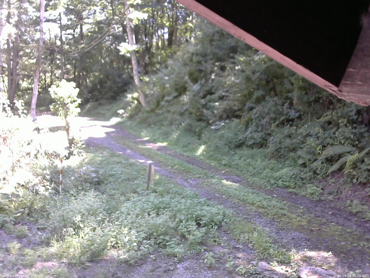 長野県菅平高原 ゆたか山荘 東側(坂下) 2025/09/02 11:00