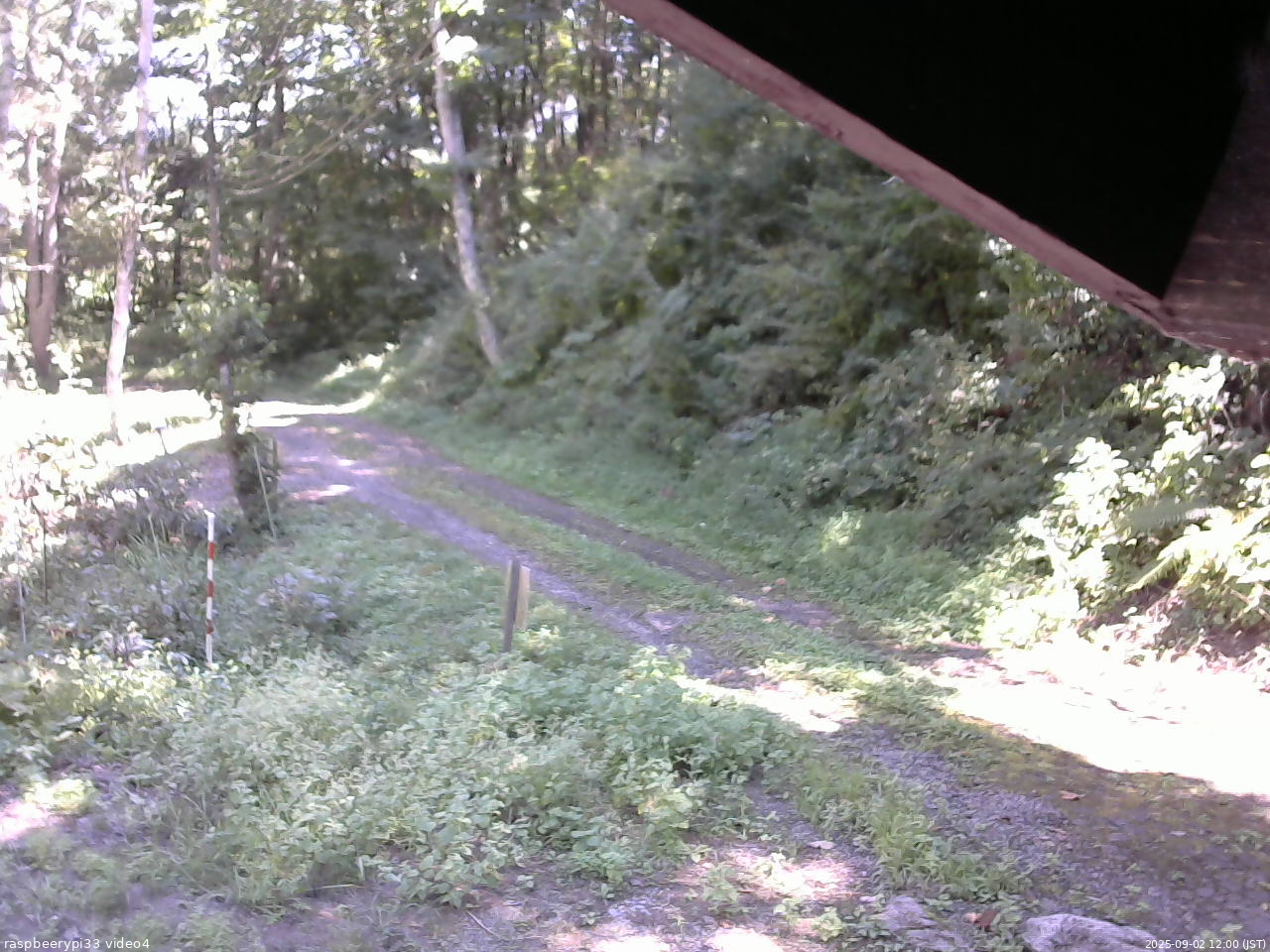 長野県菅平高原 ゆたか山荘 東側(坂下) 2025/09/02 12:00
