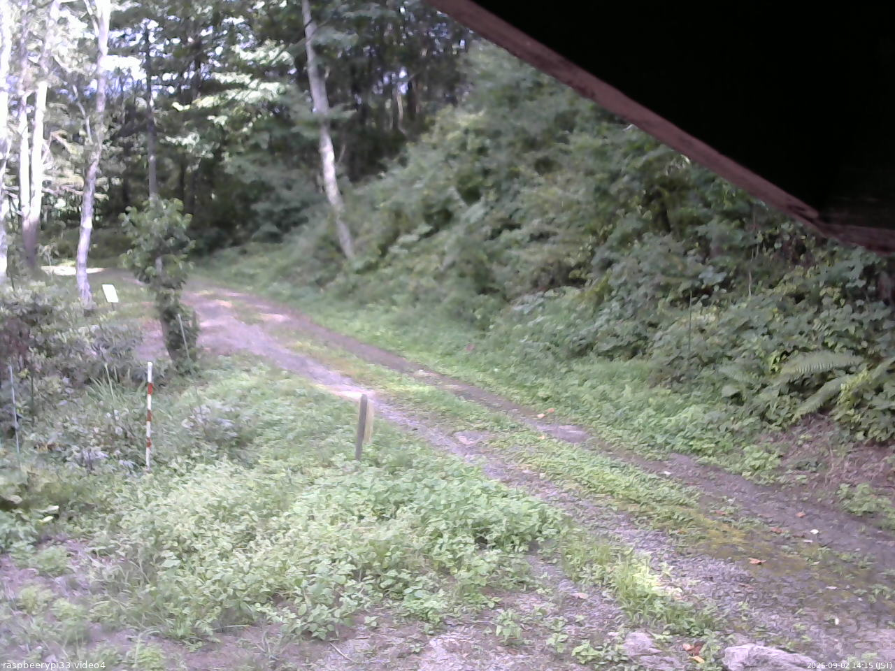 長野県菅平高原 ゆたか山荘 東側(坂下) 2025/09/02 14:15