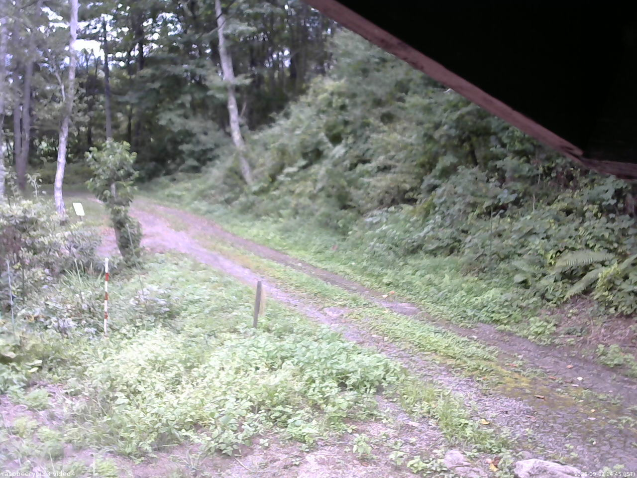 長野県菅平高原 ゆたか山荘 東側(坂下) 2025/09/02 14:45
