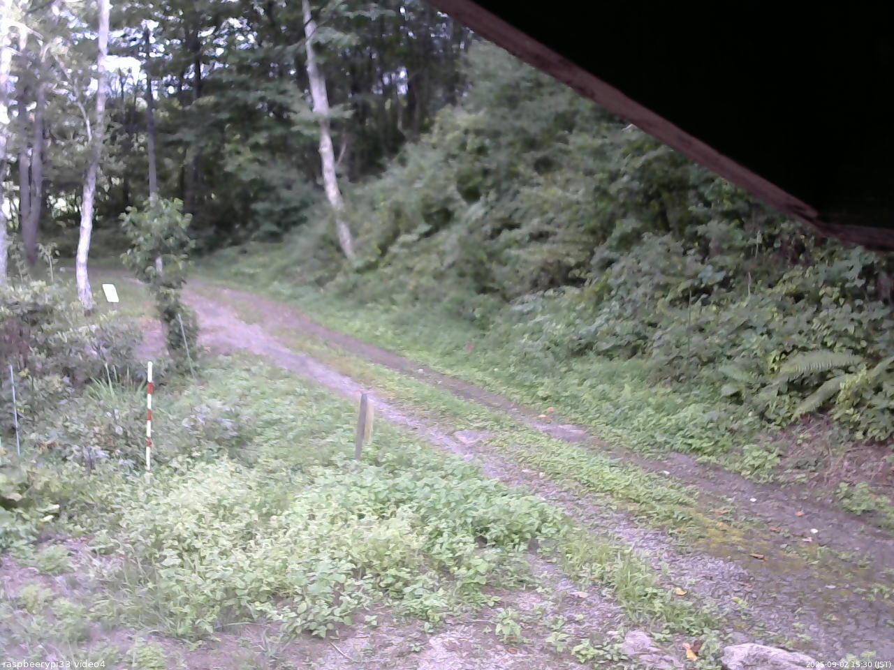 長野県菅平高原 ゆたか山荘 東側(坂下) 2025/09/02 15:30