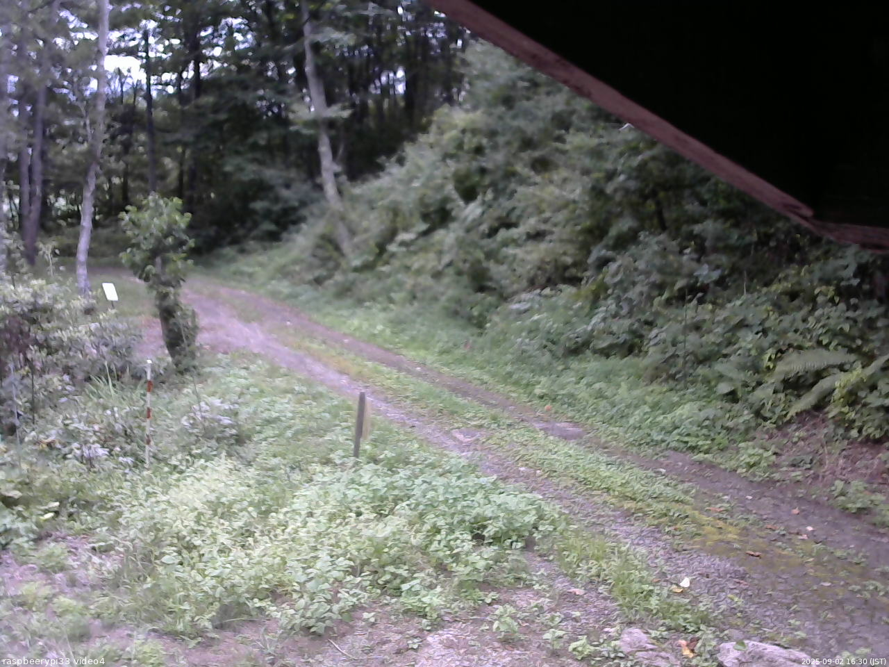 長野県菅平高原 ゆたか山荘 東側(坂下) 2025/09/02 16:30