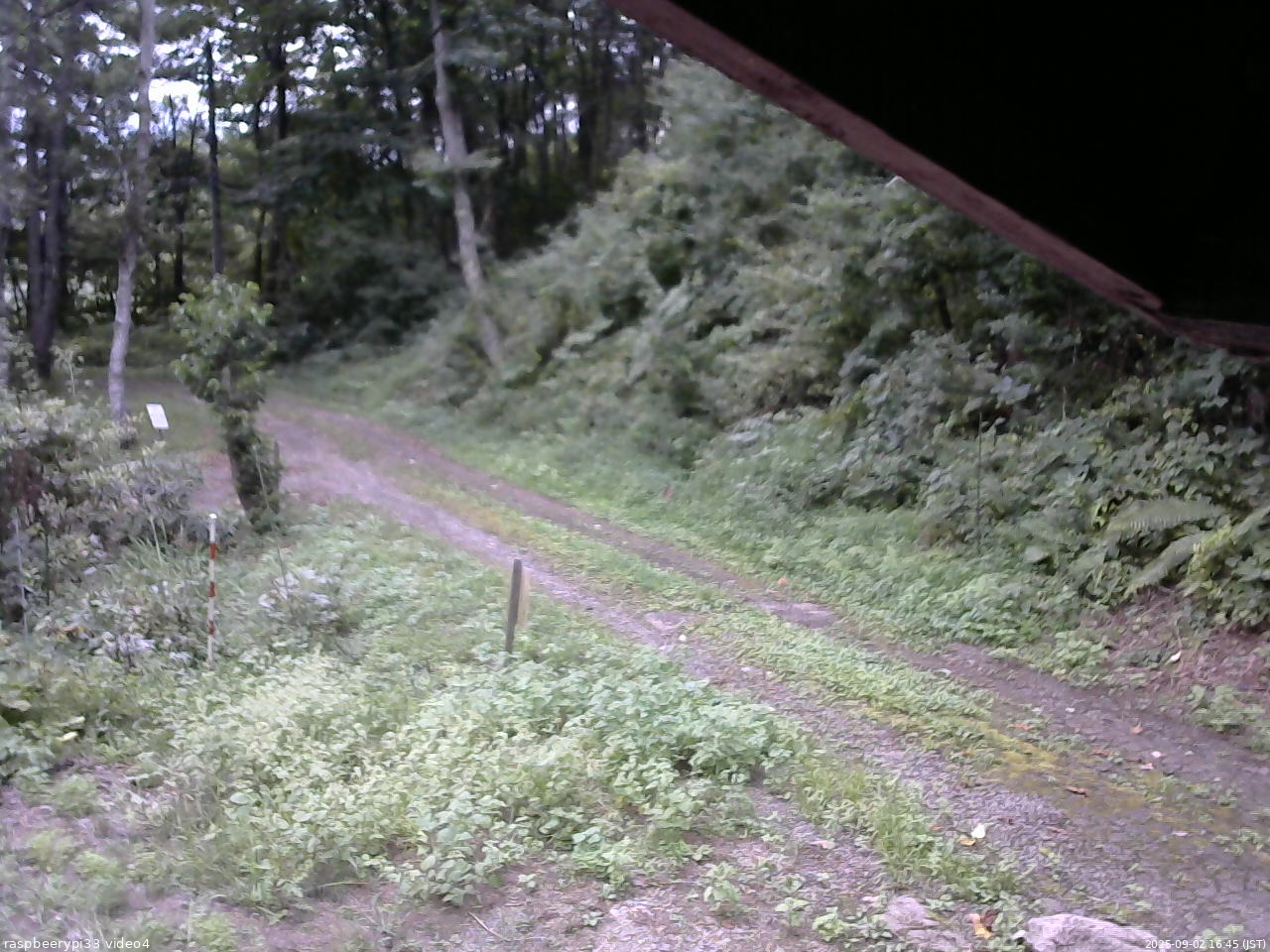 長野県菅平高原 ゆたか山荘 東側(坂下) 2025/09/02 16:45