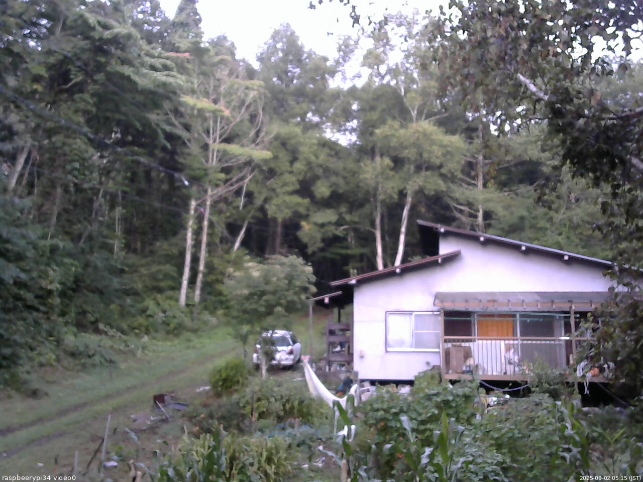 長野県菅平高原 ゆたか山荘 西側(坂上) 2025/09/02 05:15