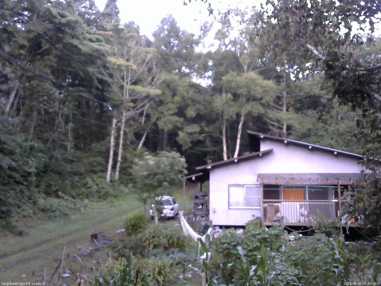 長野県菅平高原 ゆたか山荘 西側(坂上) 2025/09/02 05:30
