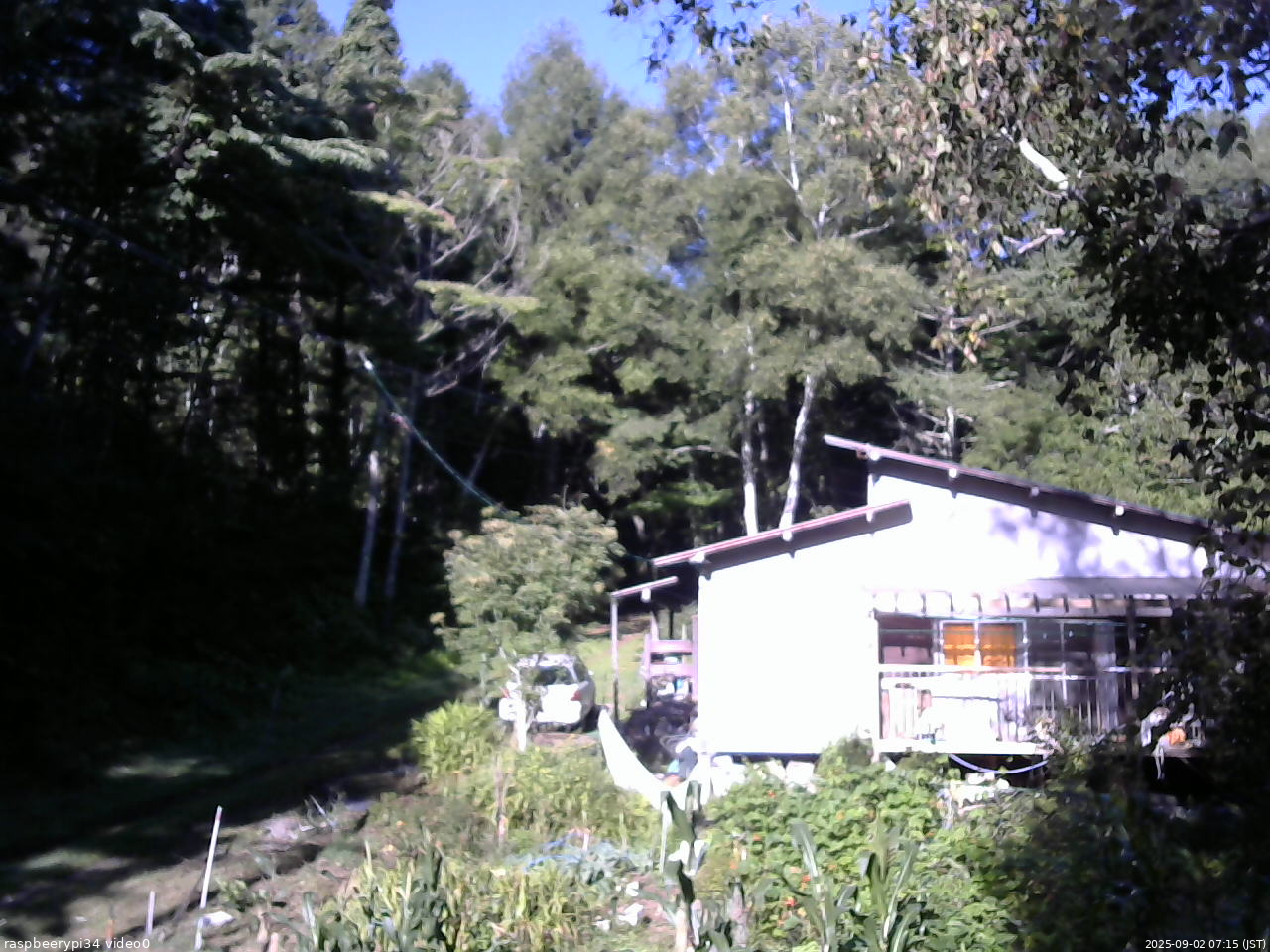 長野県菅平高原 ゆたか山荘 西側(坂上) 2025/09/02 07:15