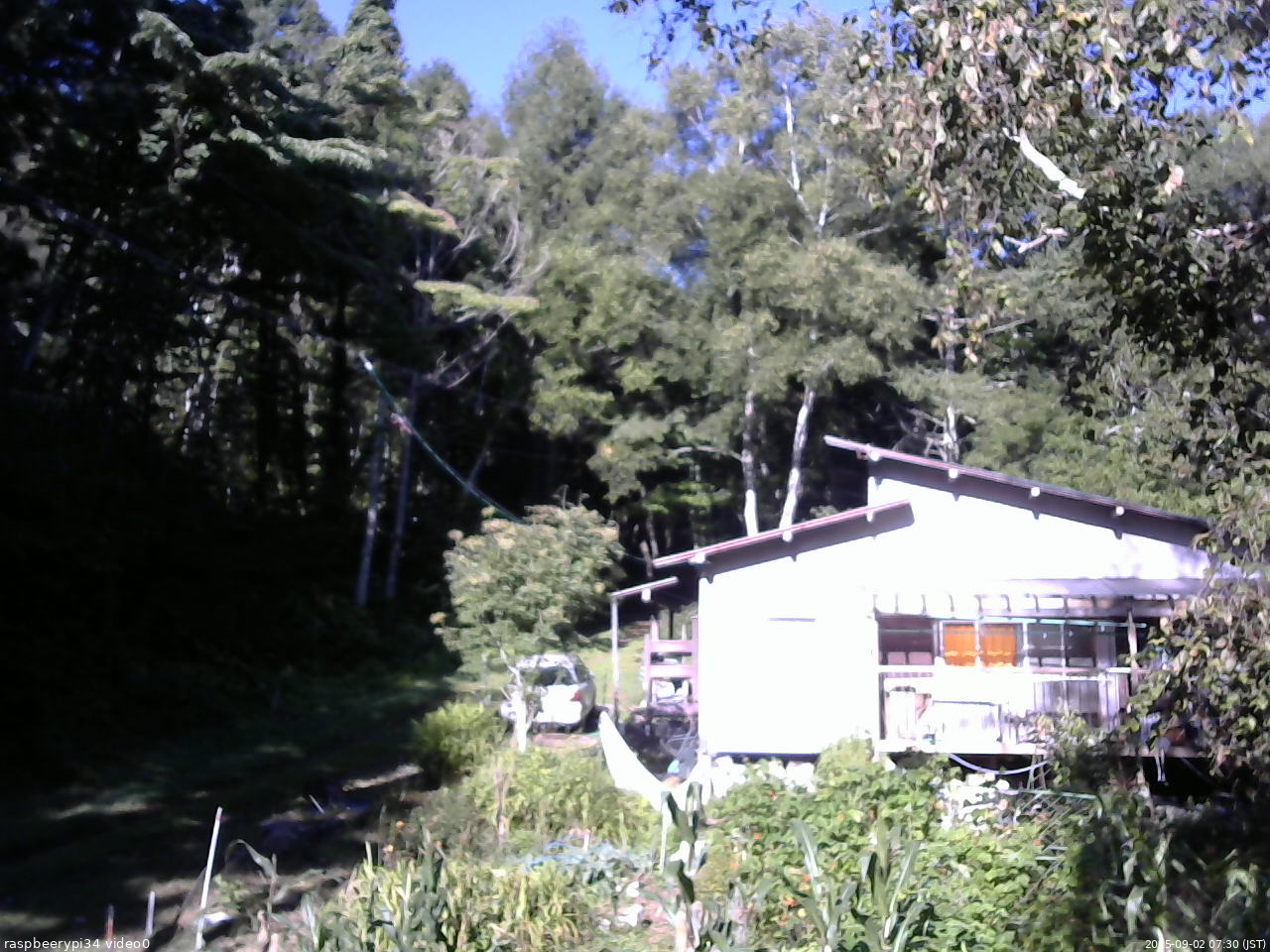 長野県菅平高原 ゆたか山荘 西側(坂上) 2025/09/02 07:30