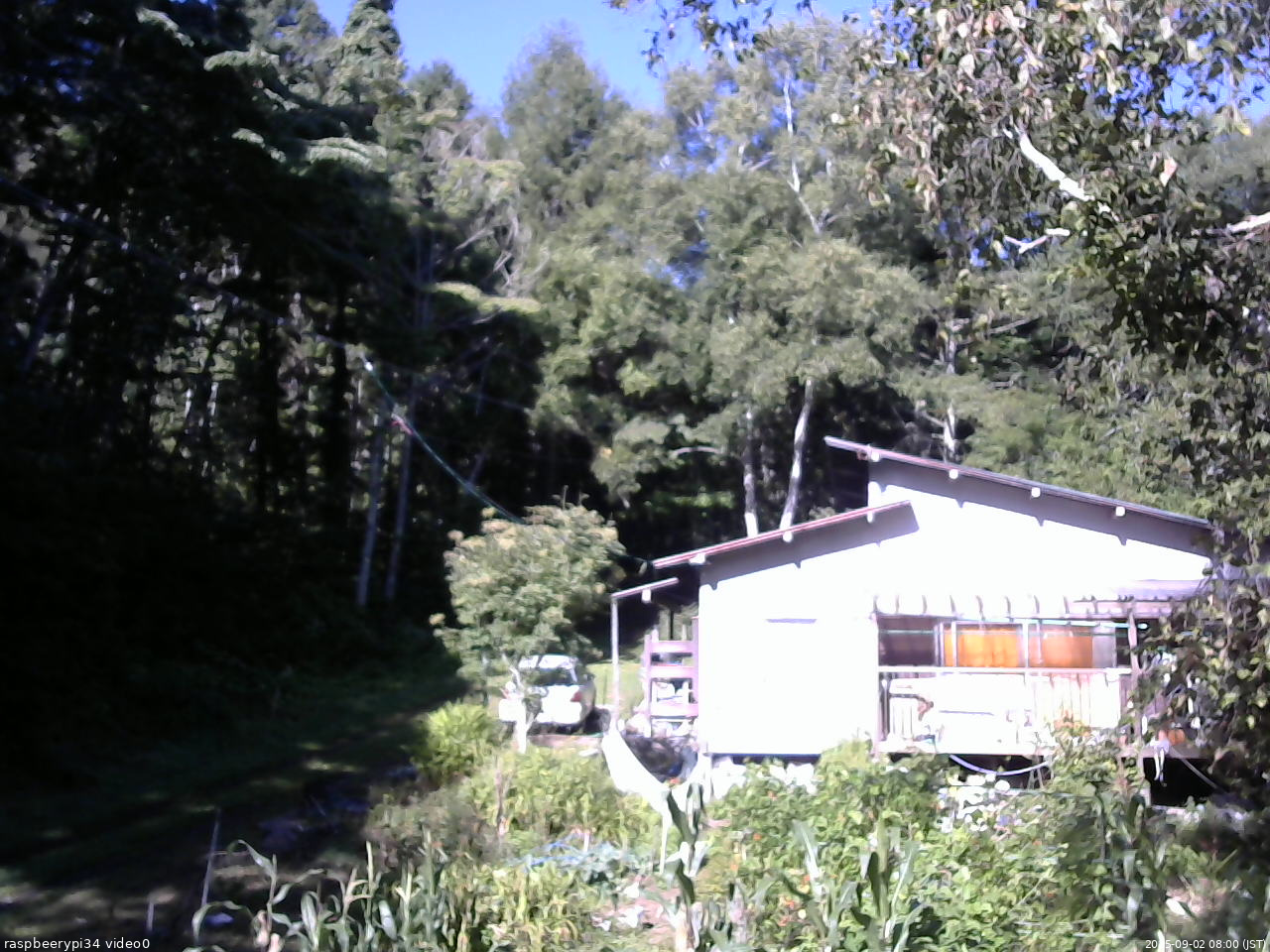 長野県菅平高原 ゆたか山荘 西側(坂上) 2025/09/02 08:00