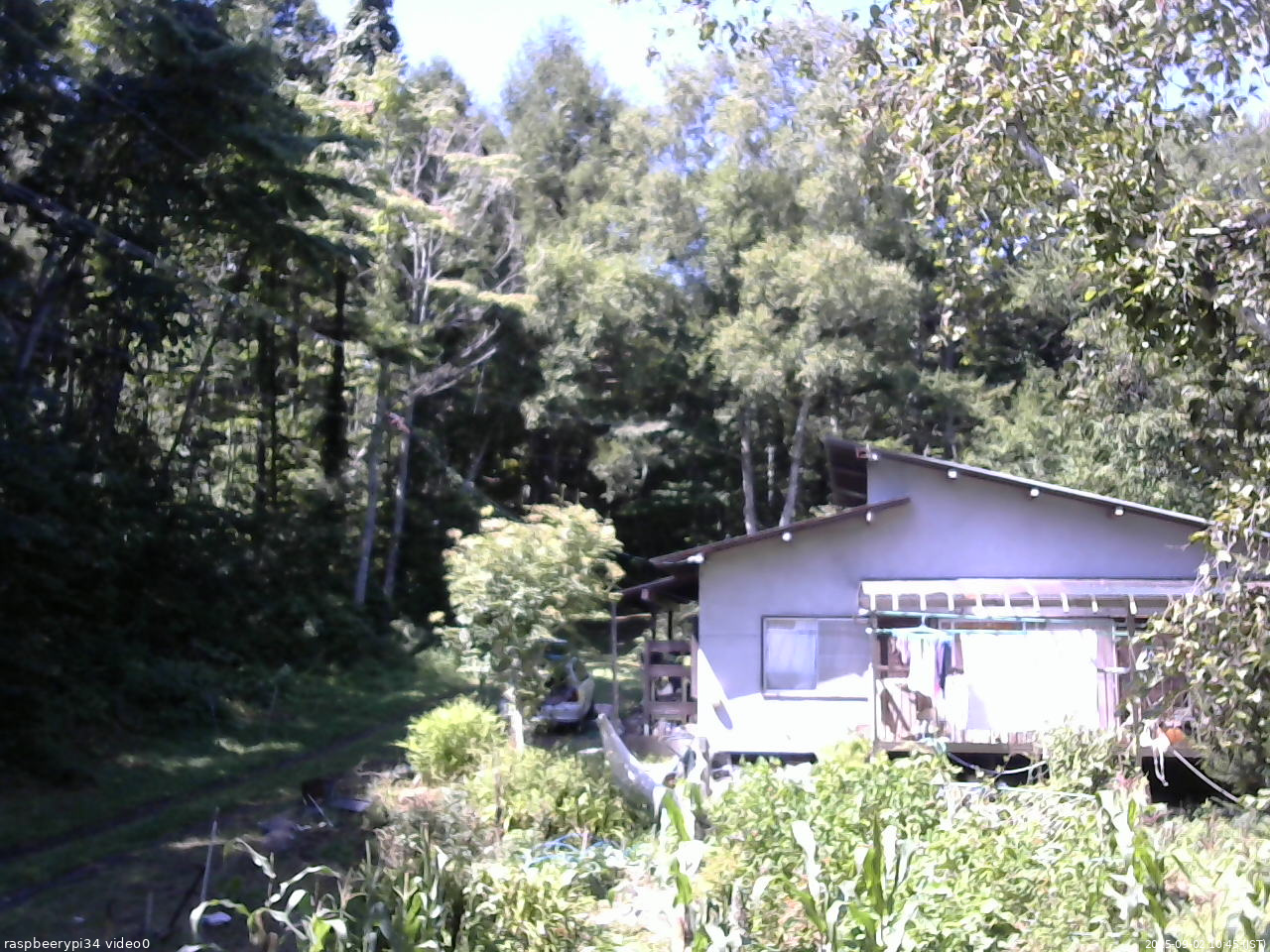 長野県菅平高原 ゆたか山荘 西側(坂上) 2025/09/02 10:45