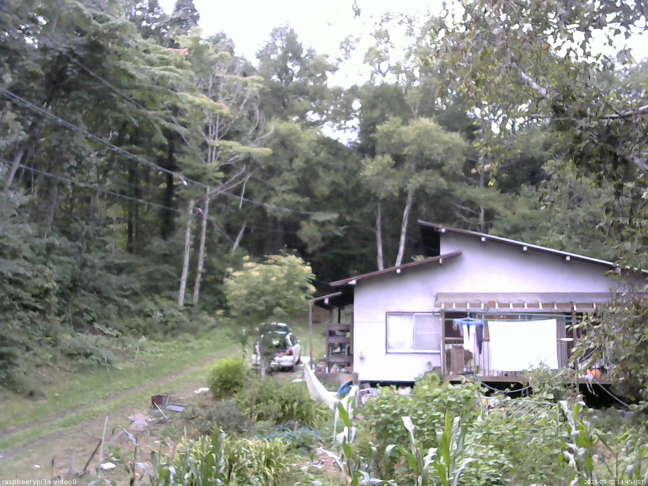 長野県菅平高原 ゆたか山荘 西側(坂上) 2025/09/02 14:45